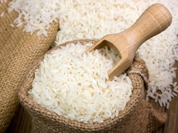 Calabozo produce un arroz de calidad